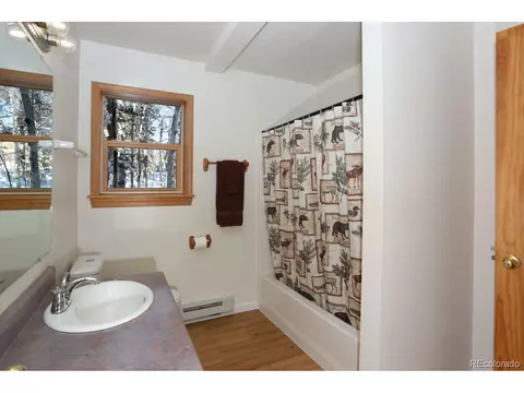 982 Coil Dr, Fairplay, CO 80440 photo 13
