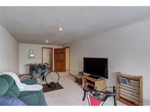 105 Desparado Rd, Bailey, CO 80421 photo 37