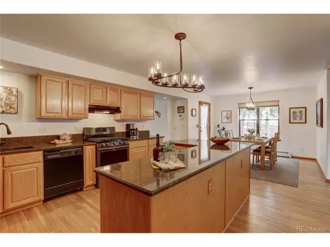 105 Desparado Rd, Bailey, CO 80421 photo 15