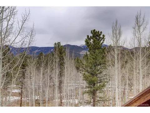 105 Desparado Rd, Bailey, CO 80421 photo 30
