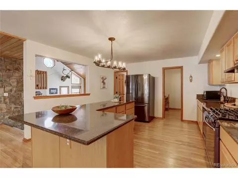 105 Desparado Rd, Bailey, CO 80421 photo 14
