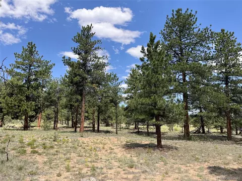 18335 Ponderosa Ln, Buena Vista, CO 81211