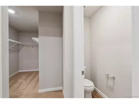951 Cascade Falls St, Severance, CO 80550 photo 15