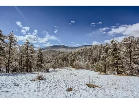 80 Saddle Ln, Bailey, CO 80421 photo 39