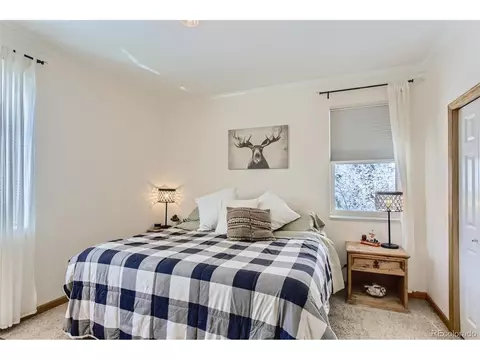 80 Saddle Ln, Bailey, CO 80421 photo 18