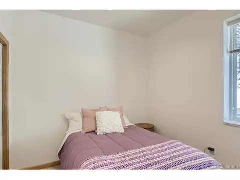 80 Saddle Ln, Bailey, CO 80421 photo 22