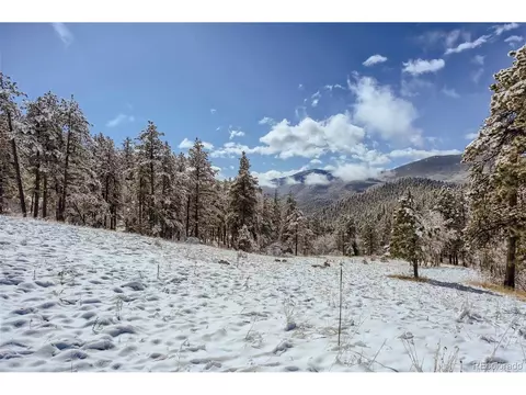 80 Saddle Ln, Bailey, CO 80421 photo 38