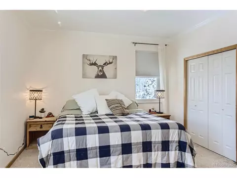 80 Saddle Ln, Bailey, CO 80421 photo 19
