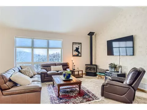 80 Saddle Ln, Bailey, CO 80421 photo 24