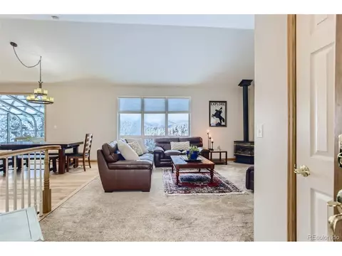 80 Saddle Ln, Bailey, CO 80421 photo 7