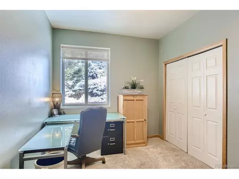 80 Saddle Ln, Bailey, CO 80421 photo 9