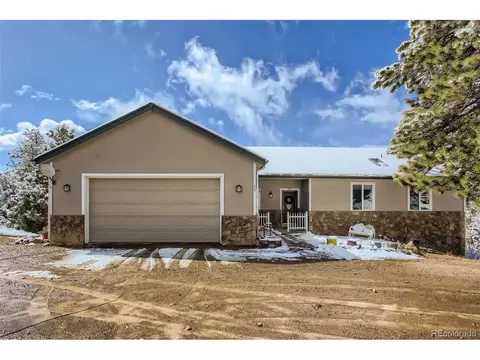 80 Saddle Ln, Bailey, CO 80421 photo 5