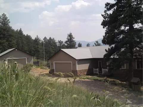 80 Saddle Ln, Bailey, CO 80421 photo 2