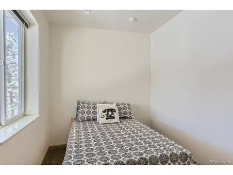 80 Saddle Ln, Bailey, CO 80421 photo 28