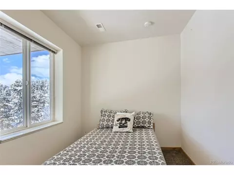 80 Saddle Ln, Bailey, CO 80421 photo 29