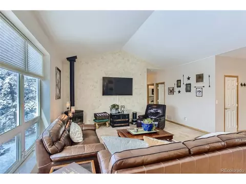 80 Saddle Ln, Bailey, CO 80421 photo 16