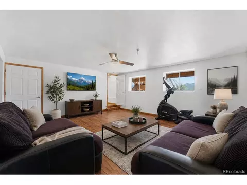 Living - 16687 Ouray Rd, Pine, CO 80470 photo 9 of 9