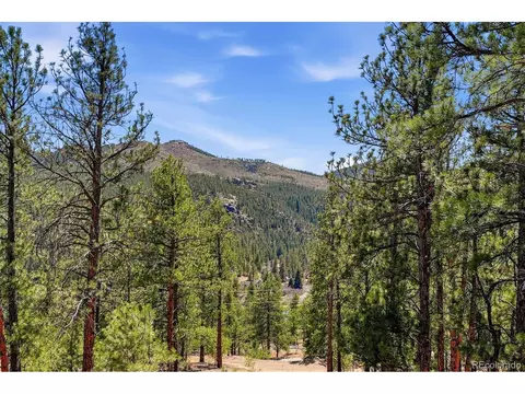 Other - 16687 Ouray Rd, Pine, CO 80470 photo 2 of 9