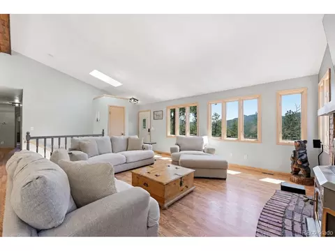 Living - 16687 Ouray Rd, Pine, CO 80470 photo 6 of 9