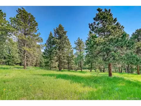 8939 Hillview Rd, Morrison, CO 80465 photo 19