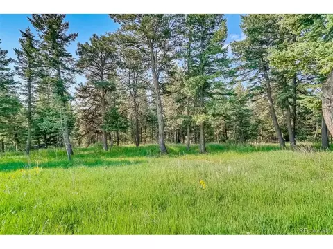 8939 Hillview Rd, Morrison, CO 80465 photo 13