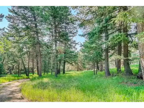 8939 Hillview Rd, Morrison, CO 80465 photo 27