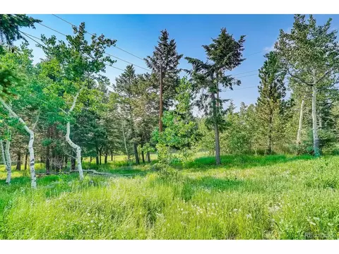 8939 Hillview Rd, Morrison, CO 80465 photo 15