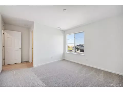 962 Rustling St, Windsor, CO 80550 photo 12