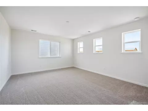 962 Rustling St, Windsor, CO 80550 photo 16