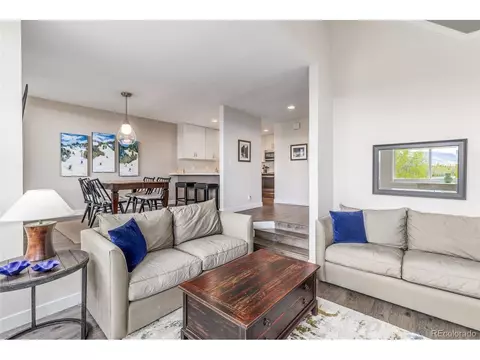 Living - 21 Deborah Ln #SHARE B, Silverthorne, CO 80498 photo 4 of 4