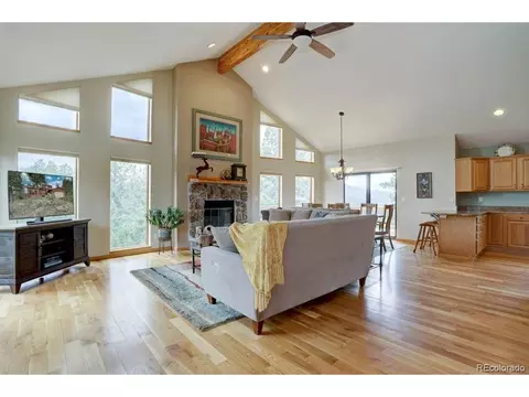 220 Long Ridge Dr, Bailey, CO 80421 photo 8