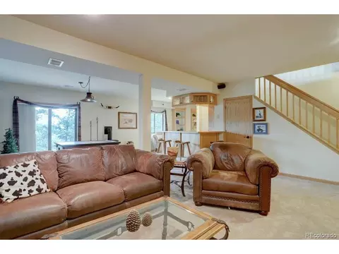 220 Long Ridge Dr, Bailey, CO 80421 photo 27