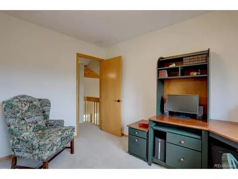 220 Long Ridge Dr, Bailey, CO 80421 photo 22