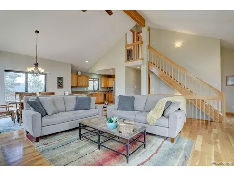 220 Long Ridge Dr, Bailey, CO 80421 photo 9