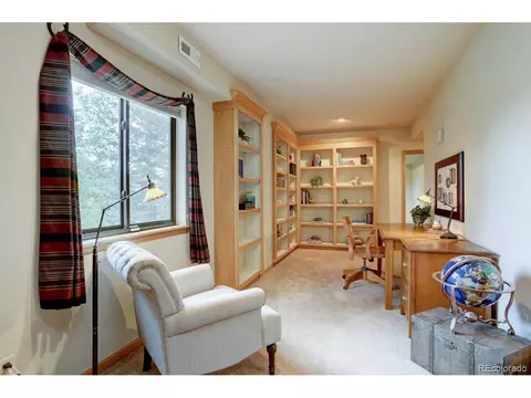 220 Long Ridge Dr, Bailey, CO 80421 photo 29