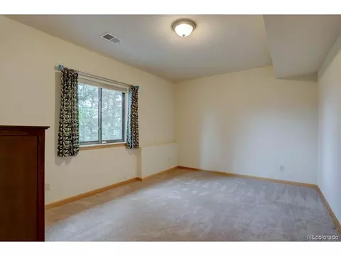220 Long Ridge Dr, Bailey, CO 80421 photo 31