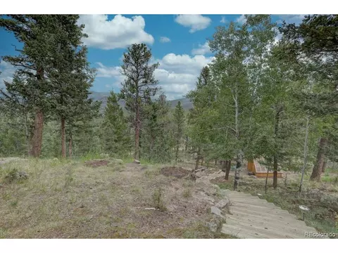 220 Long Ridge Dr, Bailey, CO 80421 photo 5