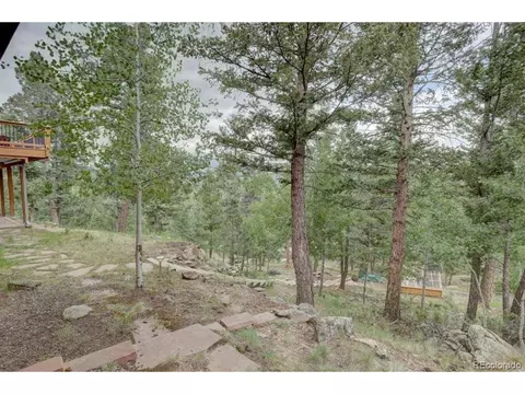 220 Long Ridge Dr, Bailey, CO 80421 photo 4