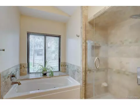 220 Long Ridge Dr, Bailey, CO 80421 photo 17