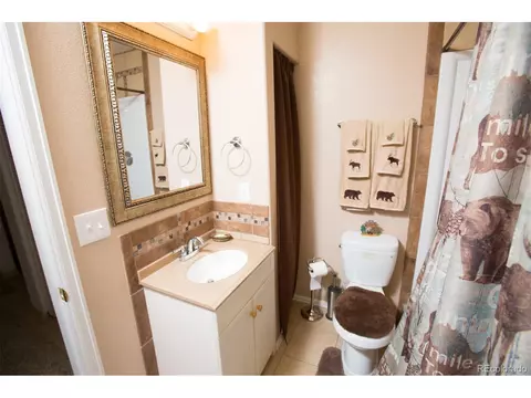35 Wolf Way, Como, CO 80432 photo 24