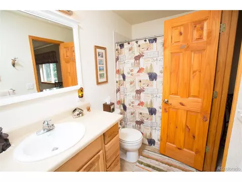 35 Wolf Way, Como, CO 80432 photo 23