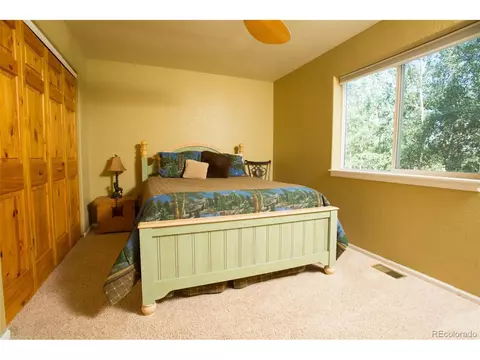 35 Wolf Way, Como, CO 80432 photo 21