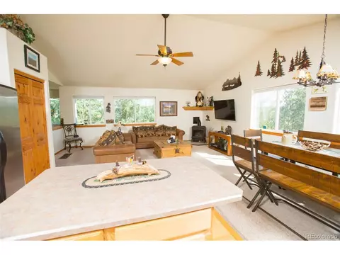 35 Wolf Way, Como, CO 80432 photo 13