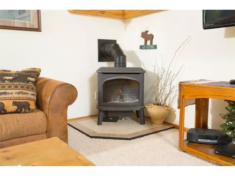 35 Wolf Way, Como, CO 80432 photo 12