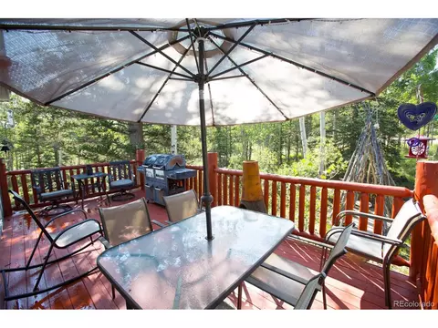 35 Wolf Way, Como, CO 80432 photo 17