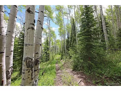 Undisclosed, Collbran, CO 81624 photo 16