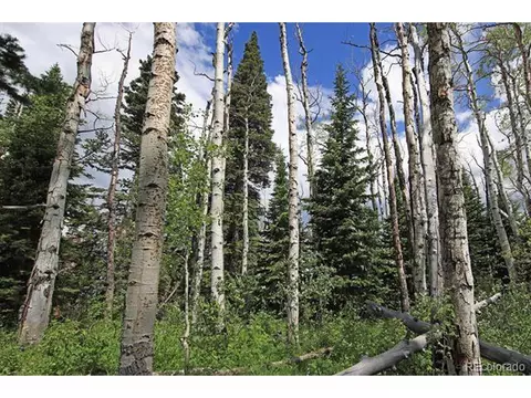 Undisclosed, Collbran, CO 81624 photo 15