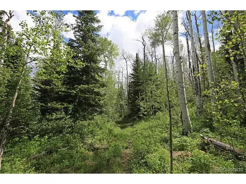 Undisclosed, Collbran, CO 81624 photo 11