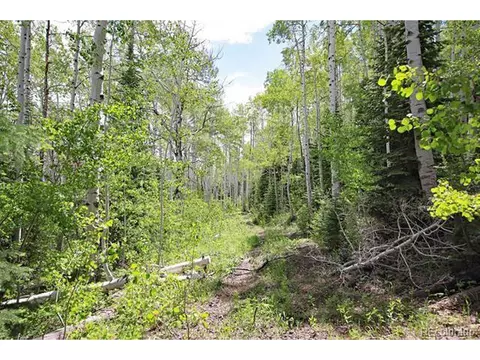 Undisclosed, Collbran, CO 81624 photo 10