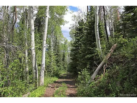 Undisclosed, Collbran, CO 81624 photo 12